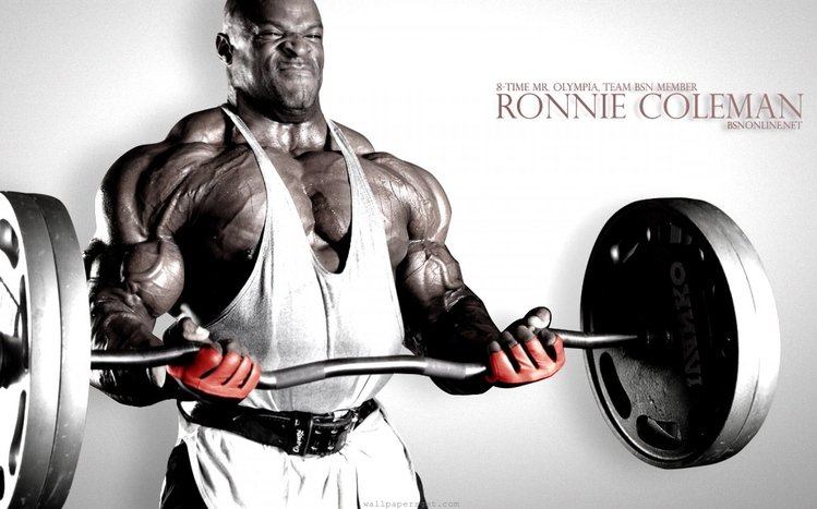 Sports Theme screenshot #11