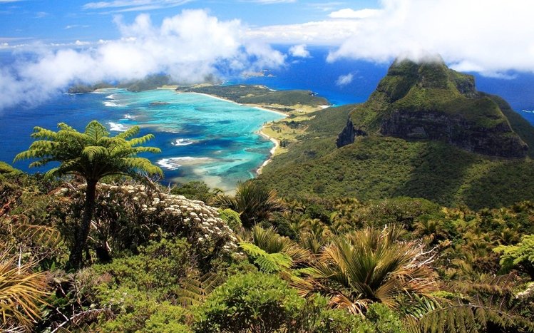 Tropical Theme screenshot #14