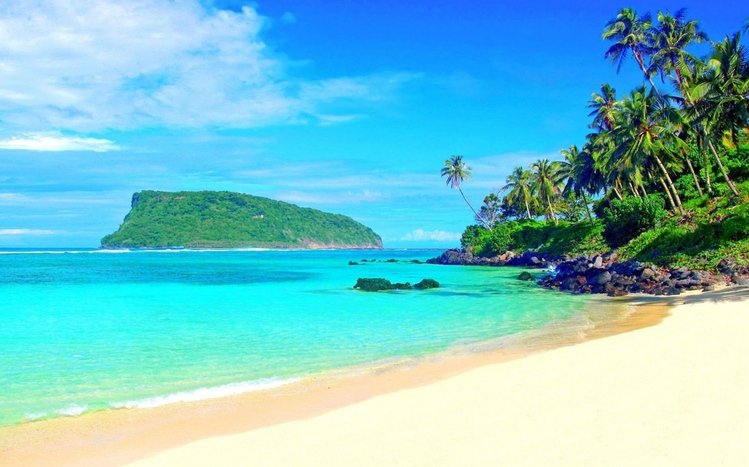 Tropical Theme screenshot #5