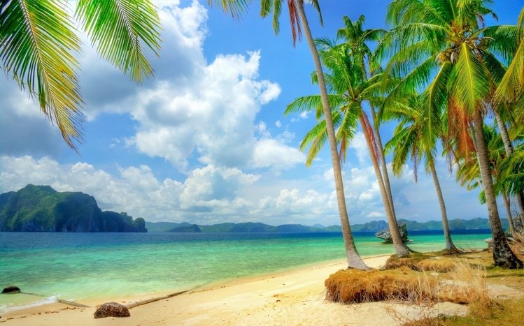 Tropical Theme screenshot #10