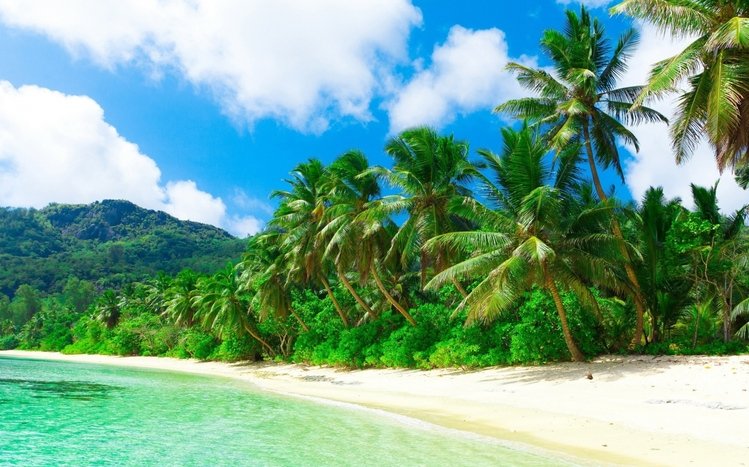 Tropical Theme screenshot #9