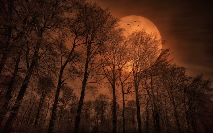 Moon Theme screenshot #7