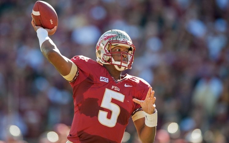 FSU Theme screenshot #9