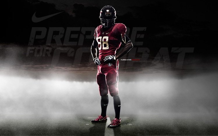 FSU Theme screenshot #8