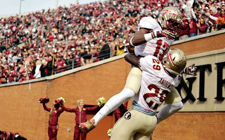 FSU Theme screenshot #13