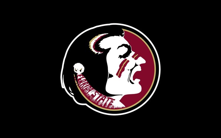 FSU Theme screenshot #4
