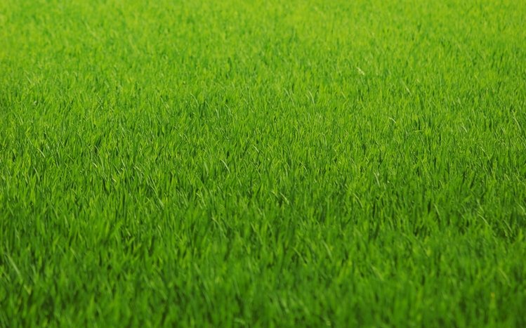 Grass Theme screenshot #8