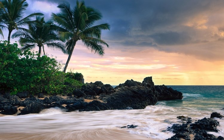 Hawaii Windows 11 10 Theme Themepack Me