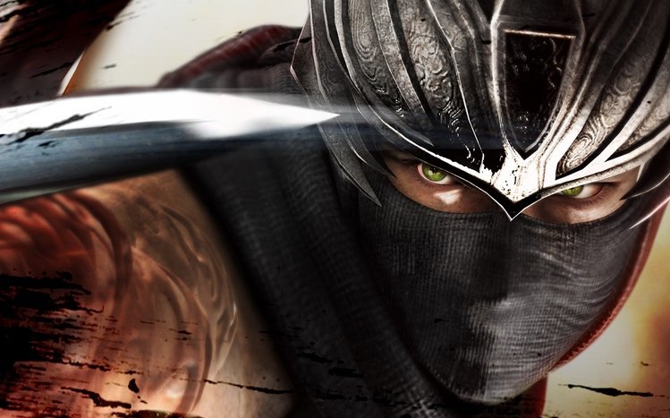 Ninja Gaiden Theme screenshot #4
