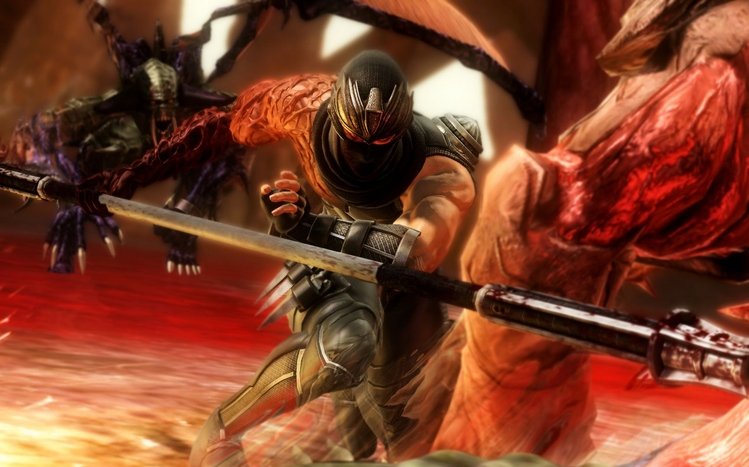 Ninja Gaiden Theme screenshot #5