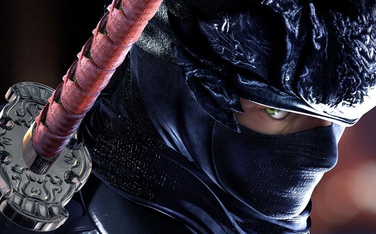 Ninja Gaiden Theme screenshot #8
