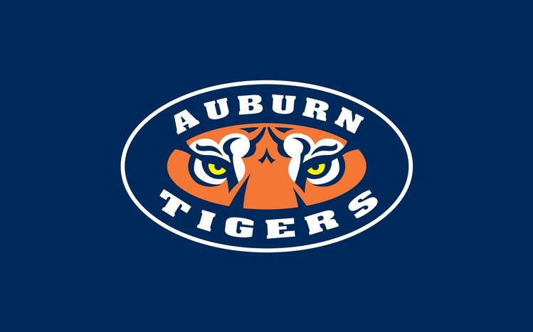 Auburn Theme screenshot #9