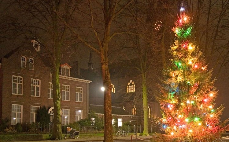 Christmas Tree Theme screenshot #10