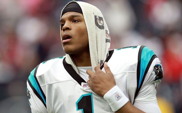 Cam Newton Theme screenshot #9