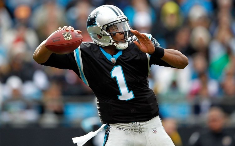 Cam Newton Theme screenshot #14