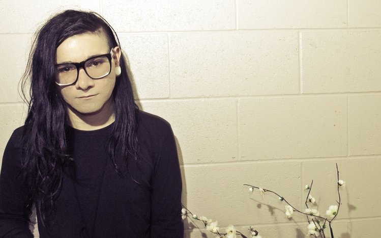 Skrillex Theme screenshot #10
