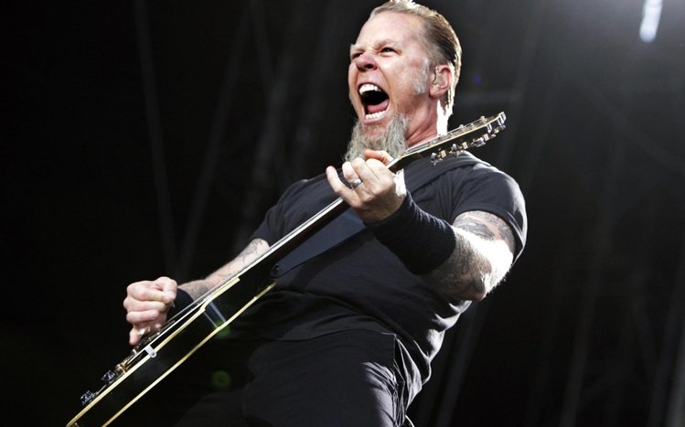 Metallica Theme screenshot #1