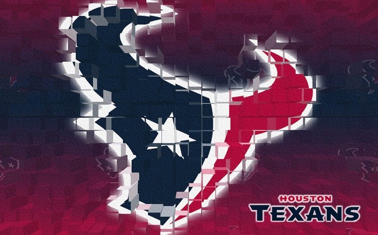 Texans Theme screenshot #9