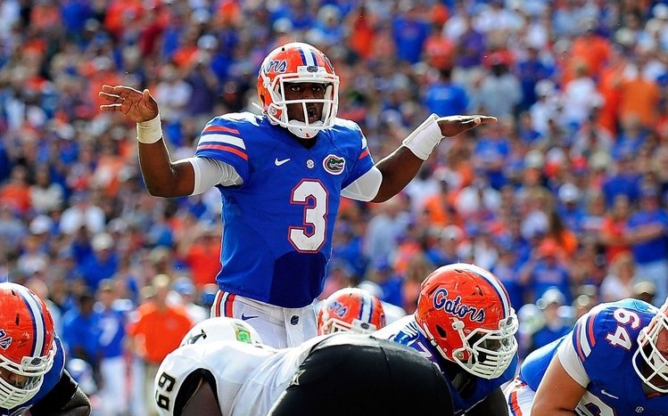 Florida Gators Theme screenshot #11