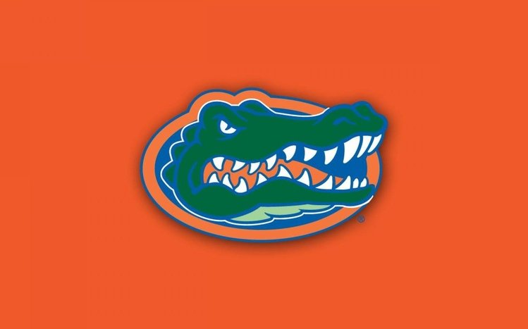 Florida Gators Theme screenshot #7
