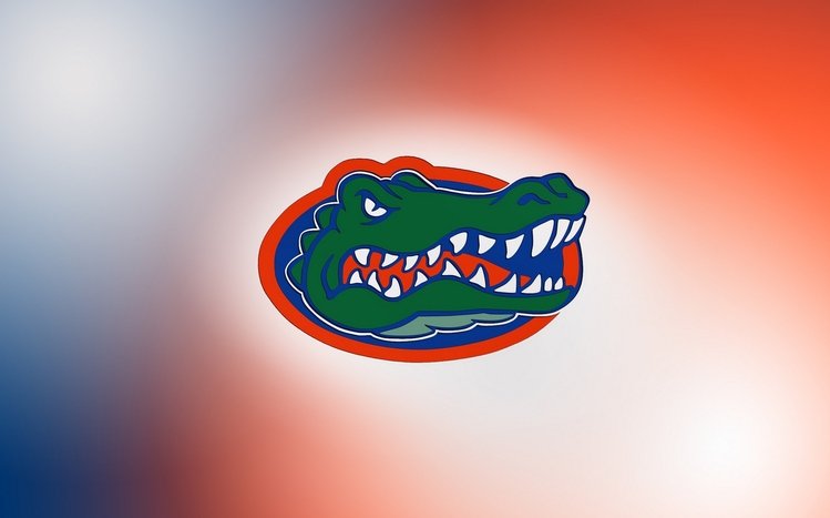 Florida Gators Theme screenshot #3