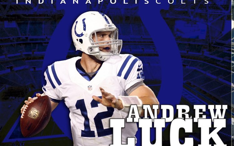 Indianapolis Colts Theme screenshot #10