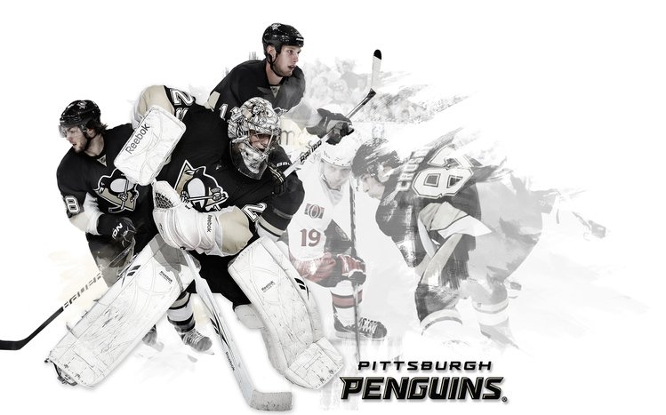 Pittsburgh Penguins Theme screenshot #8