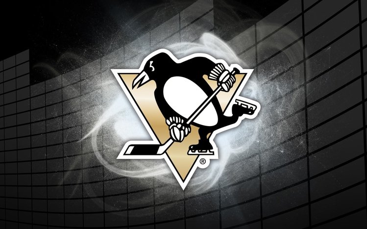 Pittsburgh Penguins Theme screenshot #11