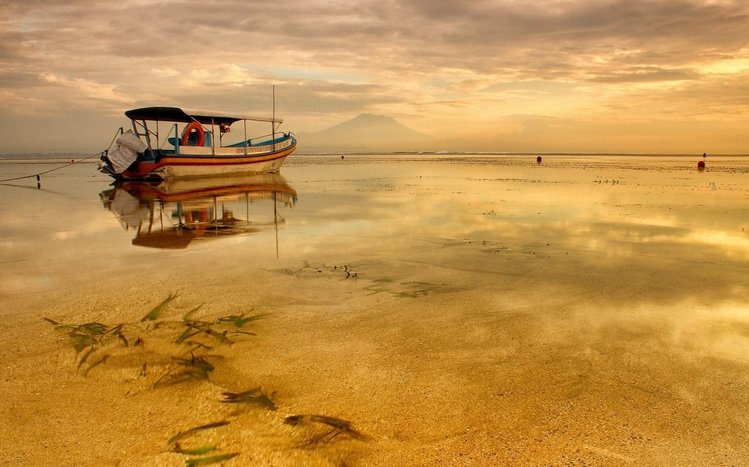 Beach Background Photos, Download The BEST Free Beach Background Stock  Photos & HD Images