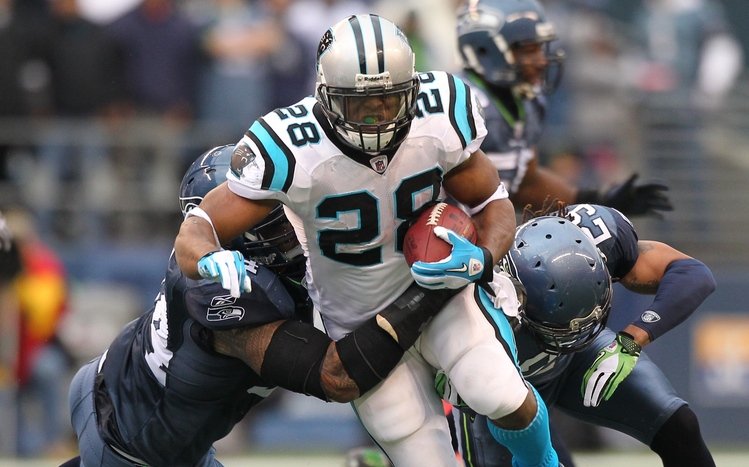 Carolina Panthers Theme screenshot #13