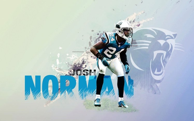 Carolina Panthers Windows 11/10 Theme 