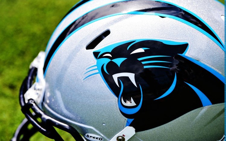 Download Carolina Panthers Number 11 Wallpaper