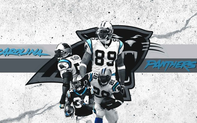 Carolina Panthers Windows 11/10 Theme 