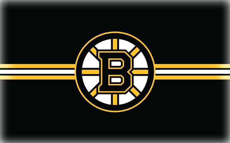 Boston Bruins Theme screenshot #9