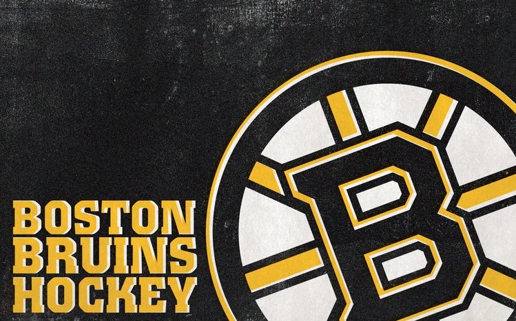 Boston Bruins Windows 11/10 Theme 