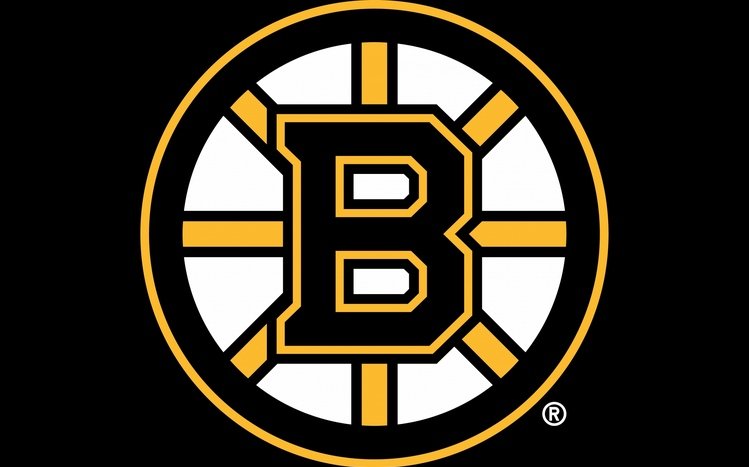 Boston Bruins Theme screenshot #6