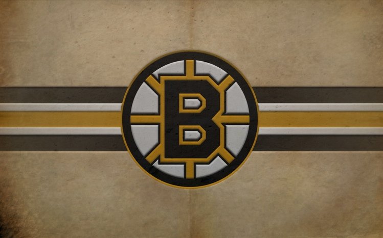Boston Bruins Theme screenshot #10
