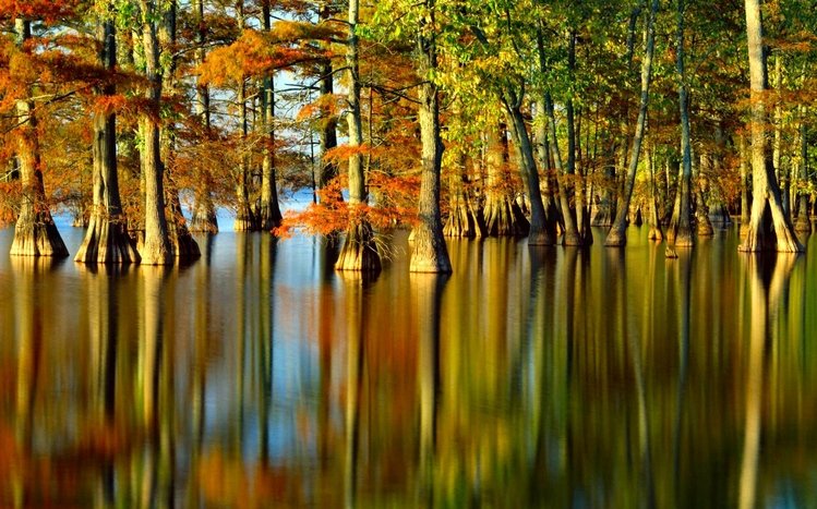 Scenic Theme screenshot #2