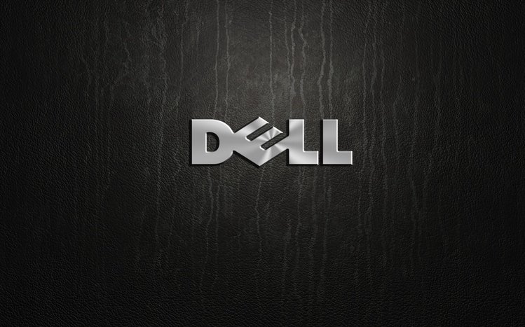 Dell Theme screenshot #8