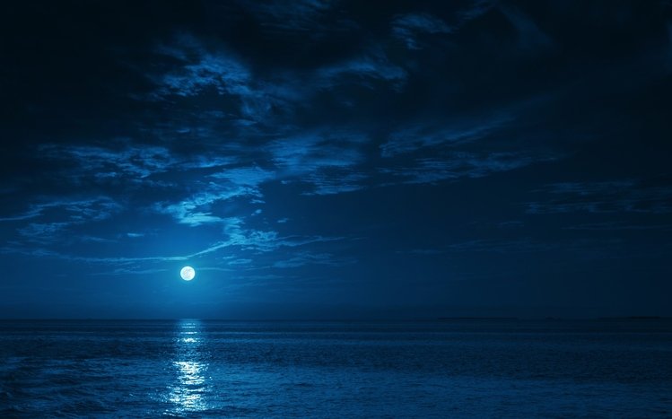 Night Sky Theme screenshot #10