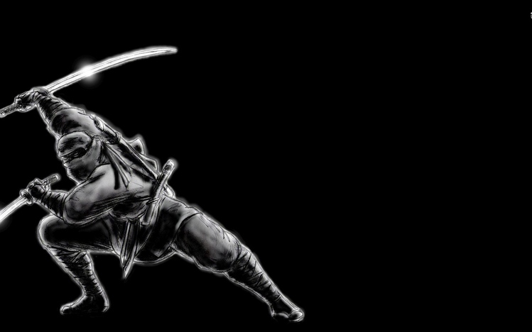 Ninja Windows 10 Theme - themepack.me