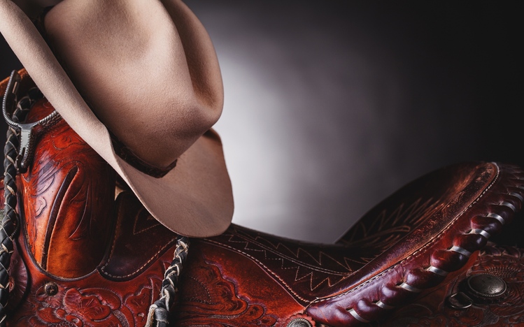 Cowboy Windows 10 Theme - themepack.me