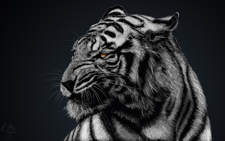 White Tiger Windows 10 Theme - themepack.me