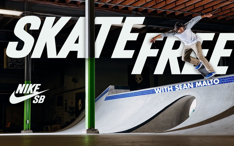 nike sb 10