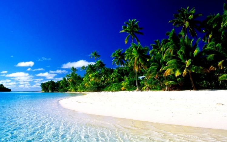 Tropical Paradise Windows 10 Theme - themepack.me