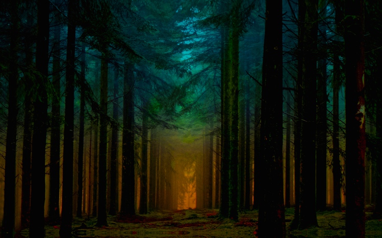Dark Forest Windows 10 Theme - themepack.me
