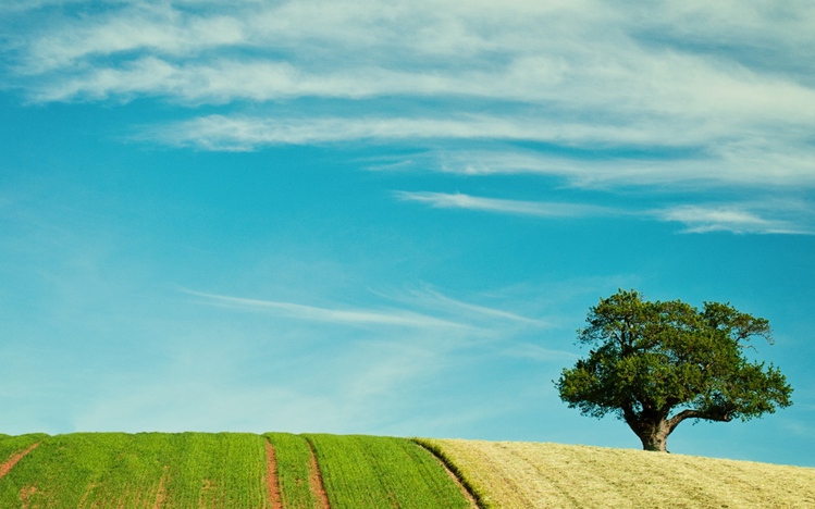 Summer Landscape Windows 10 Theme - themepack.me