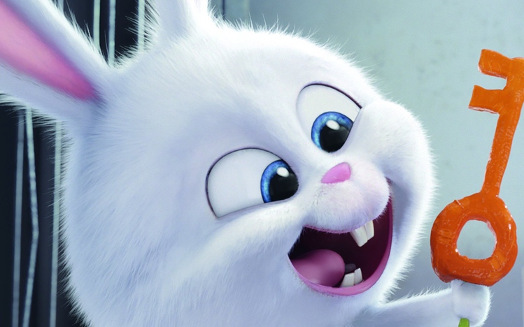 The Secret Life of Pets Windows 10 Theme themepack.me