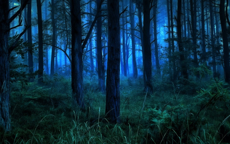 Night Forest Windows 10 Theme themepack me