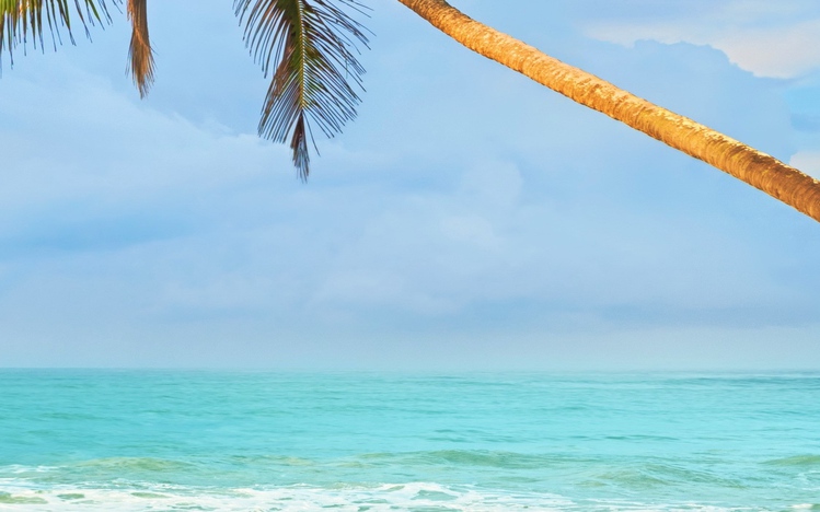 Tropical Beach Windows 10 Theme Themepack Me